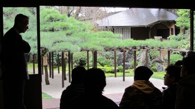That is one tree, supported and trained over a loooooong time. The tea house behind it is not a part of the tour, but viewed from a far, so breathtaking.