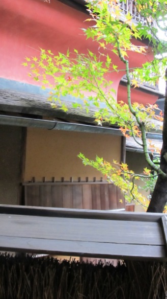 This curved exterior wall supports the veranda that extends out from the Aogai-no-ma upstairs. I don't believe I've ever seen such a design. I can't remember for sure if it is polished, but it likely is.